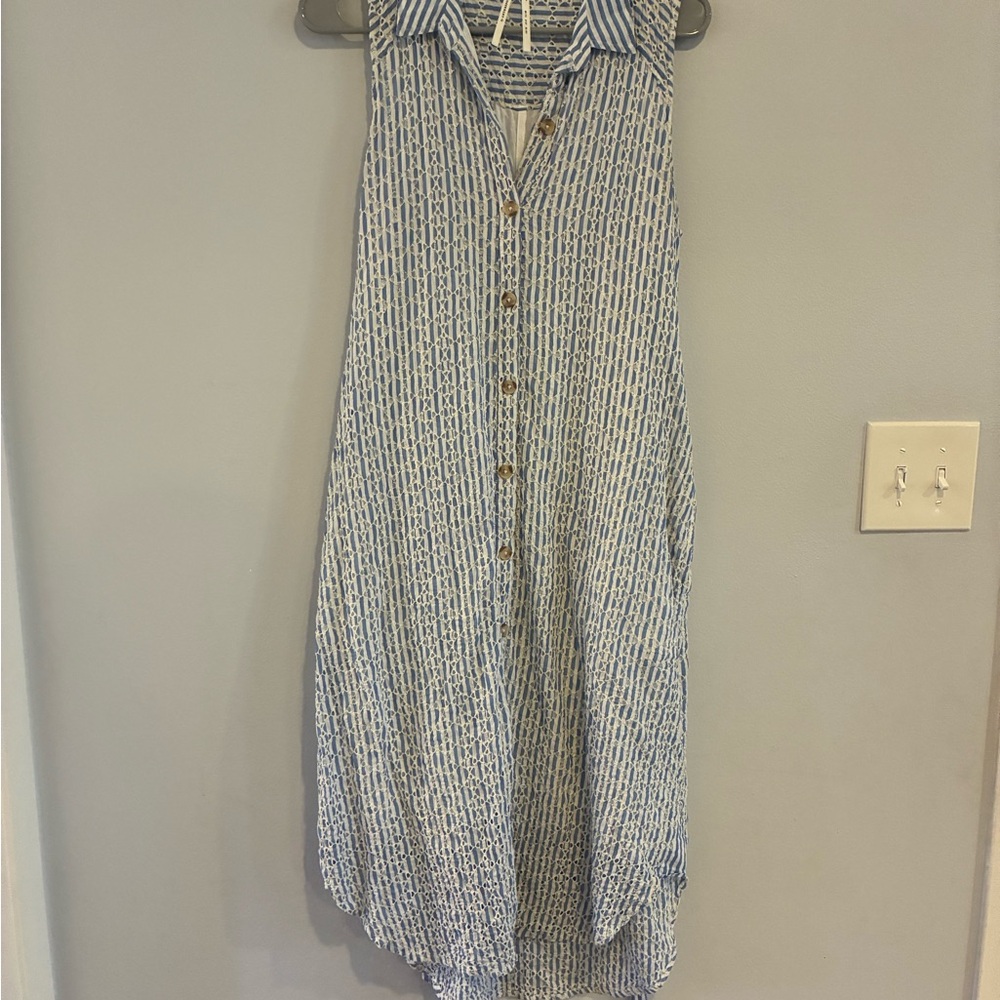 Anthropologie Blue and White Button-Down Maxi Dress